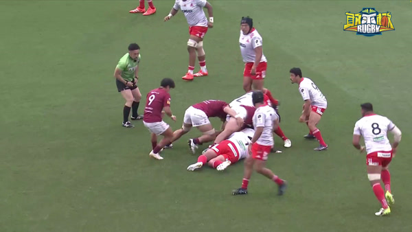 直播2024-25日本橄榄球联赛半决赛 东芝猛狼v神户制钢-棒球/橄榄球/冰球-体育比赛视频_体育赛